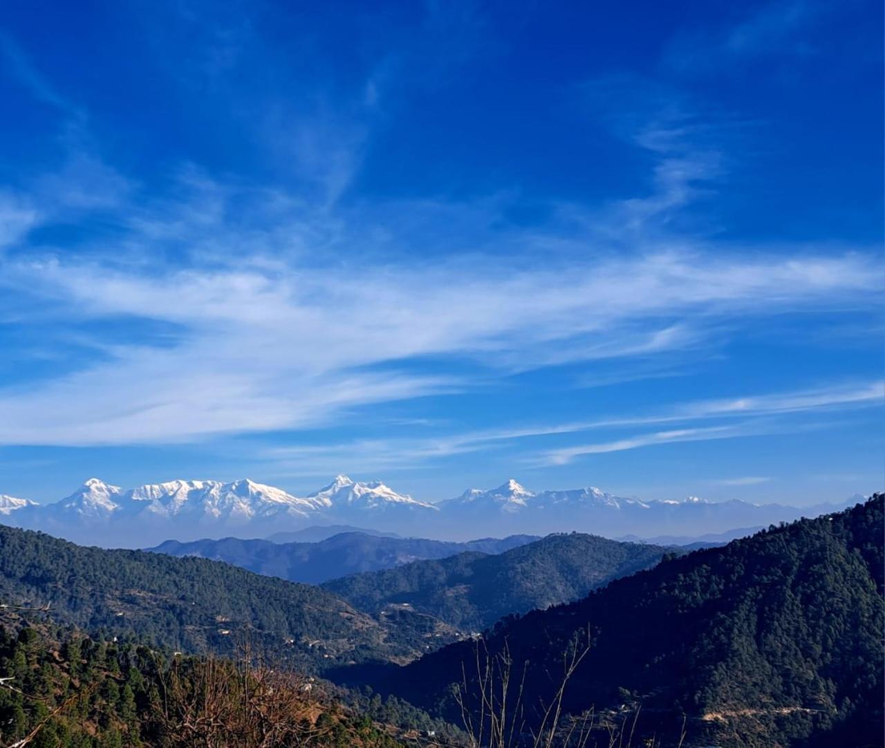 The Pahadi Nest Mukteshwar Hotel Buitenkant foto